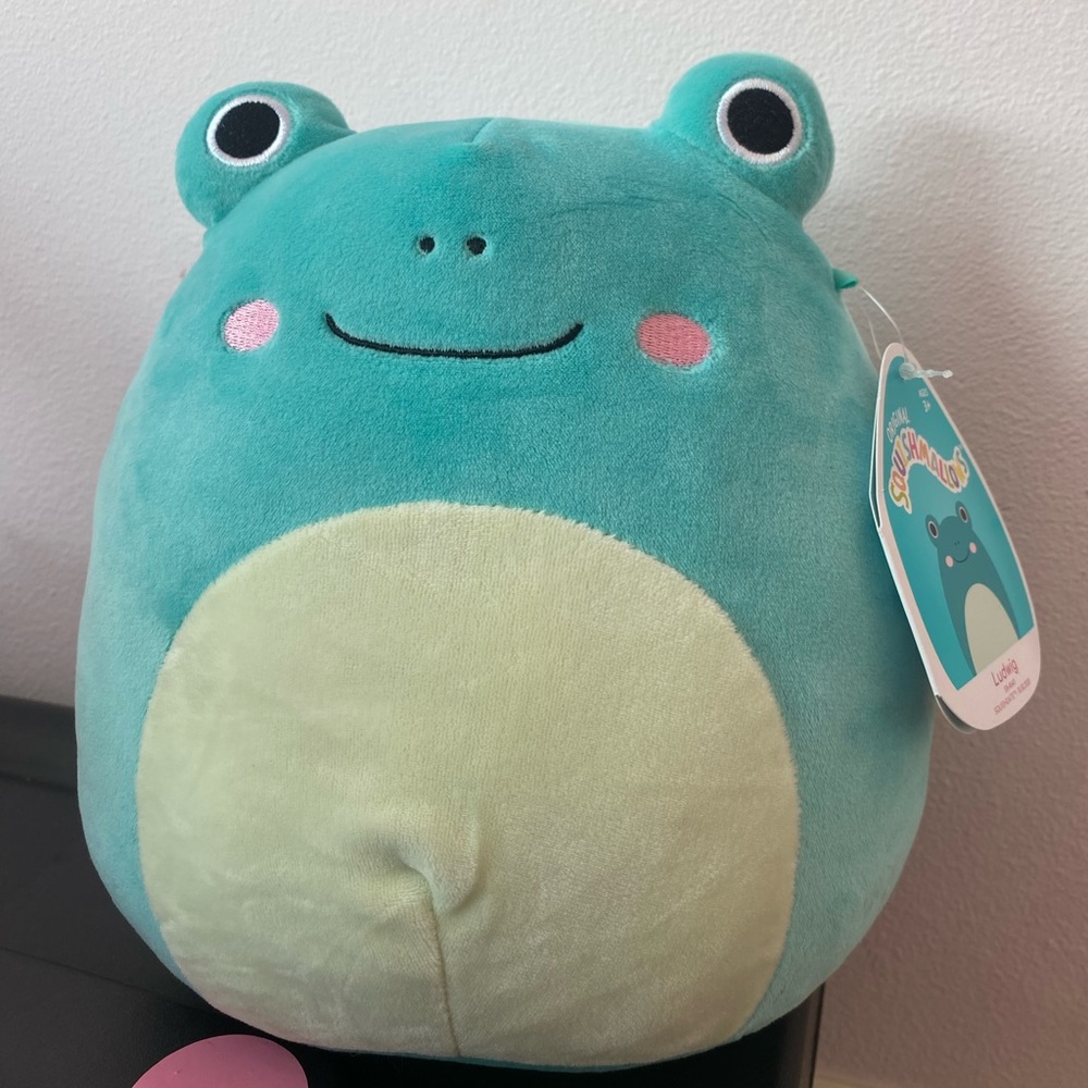 squishmallow frog